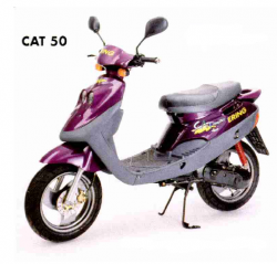 CAT 50