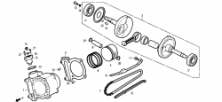 CYLINDER / PISTON / CRANK SHAFT