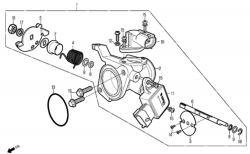 THROTTLE BODY