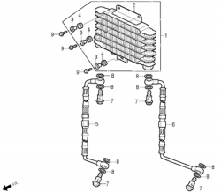 RADIATOR, RADIATOR HOSE