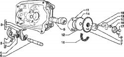 CAMSHAFT, CAMSHAFT CHAIN