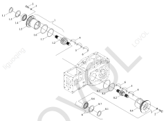 REAR DIFFERENTIAL