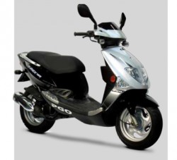 T-Rex 125 4T