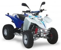 ATV Sport / Interceptor 300 Bj. 2007 - 2015