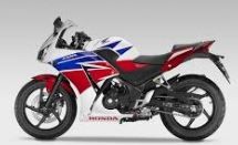 CBR 300 R (NC51) Bj. 2014 - 2017