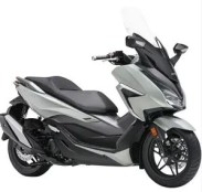 NSS 350 Forza (NH10) Bj. 2021 - 2024