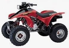 TRX 300 EX Sportrax Bj. 2000 - 2008