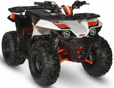 Kayo ATV 110 ab Bj. 2022->