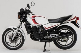 RD 250 LC (4L1) Bj. 1981 - 1983