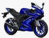 YZF-R 125 (RE391) Bj. 2019 - 2021