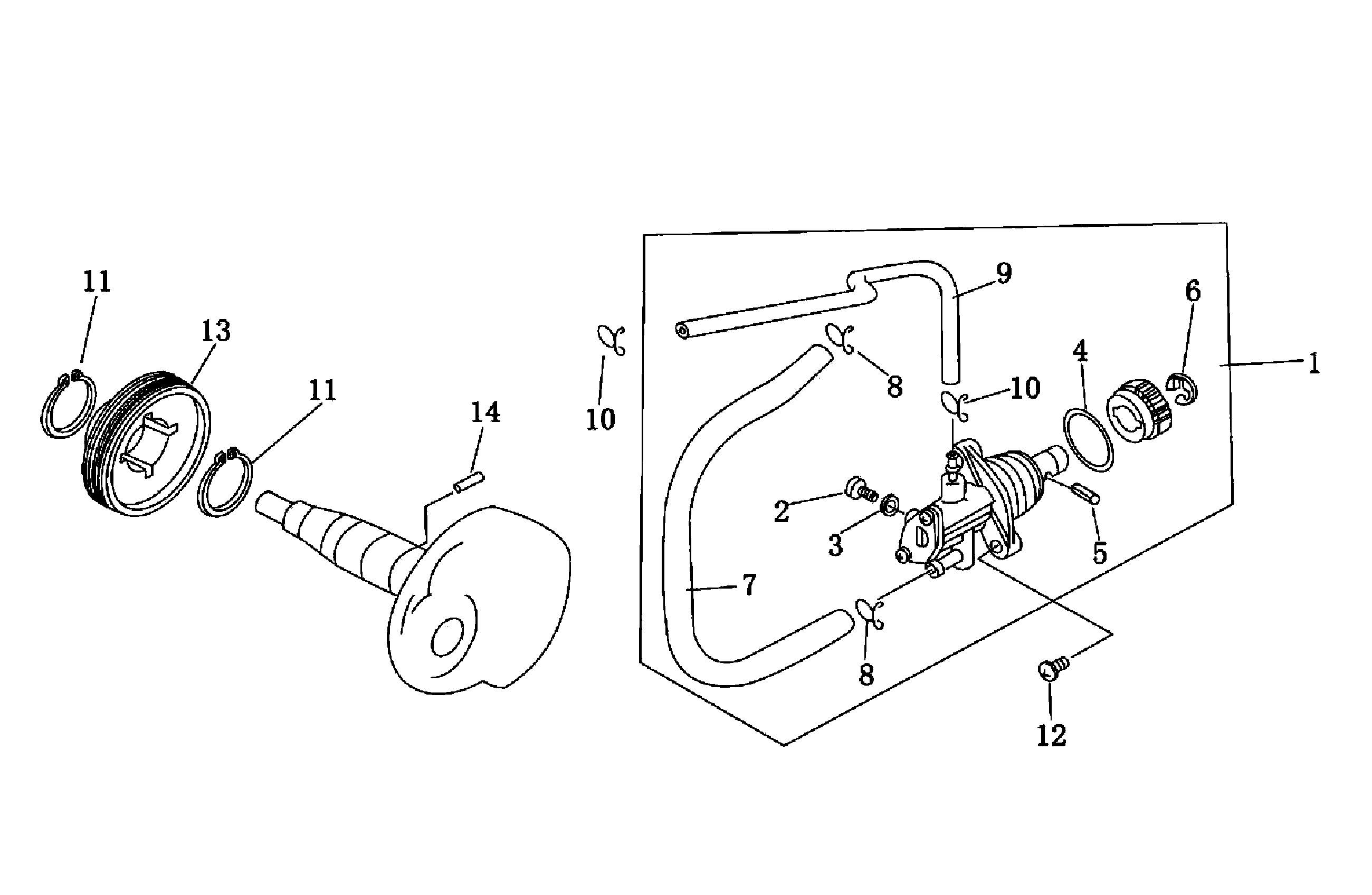 Ersatzteile Benelli 49X Ölpumpe