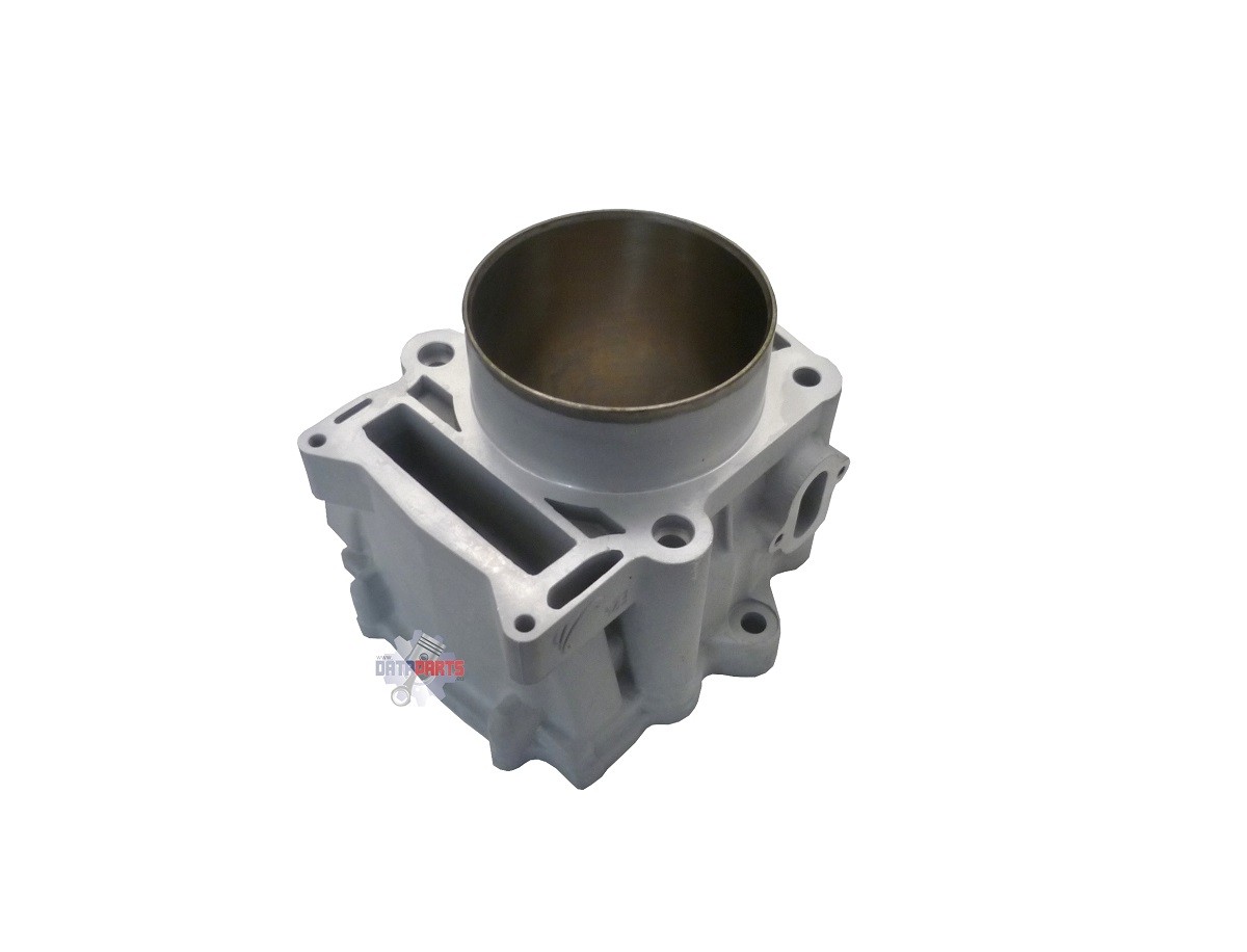 ACC-12100-E24-010 Zylinder