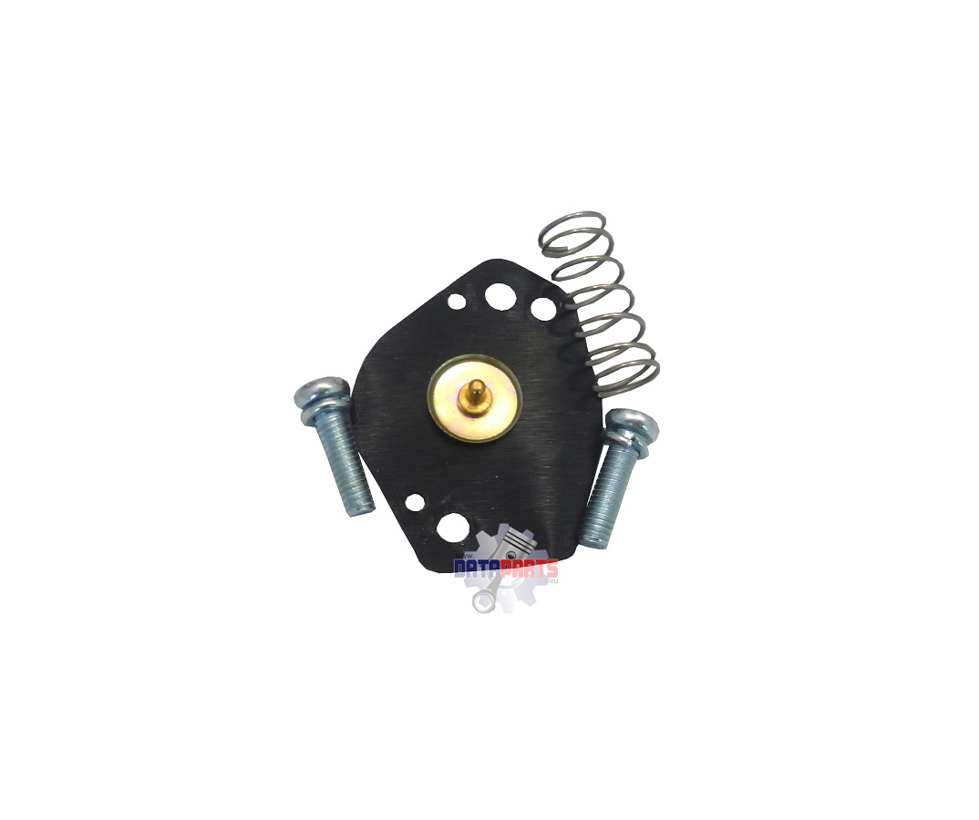 ACC-16100-E12-143-4 Membrane Beschleunigerpumpe