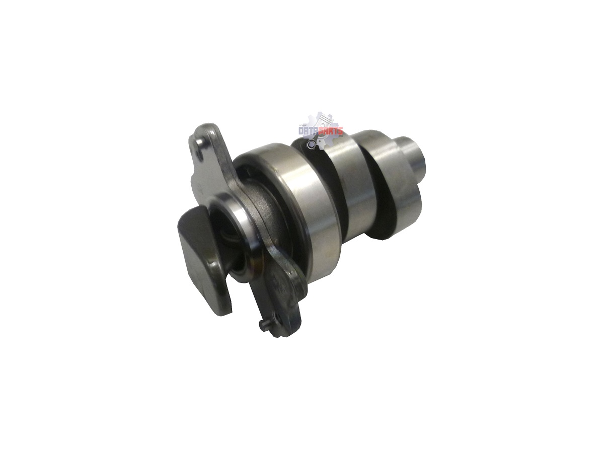 ACC-25100-E24-001 Nockenwelle