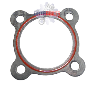 ACC-42016-E31-000 Dichtung Bypassflansch