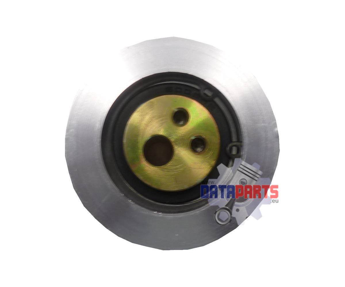 ACC-42020-E31-000 Spannrolle