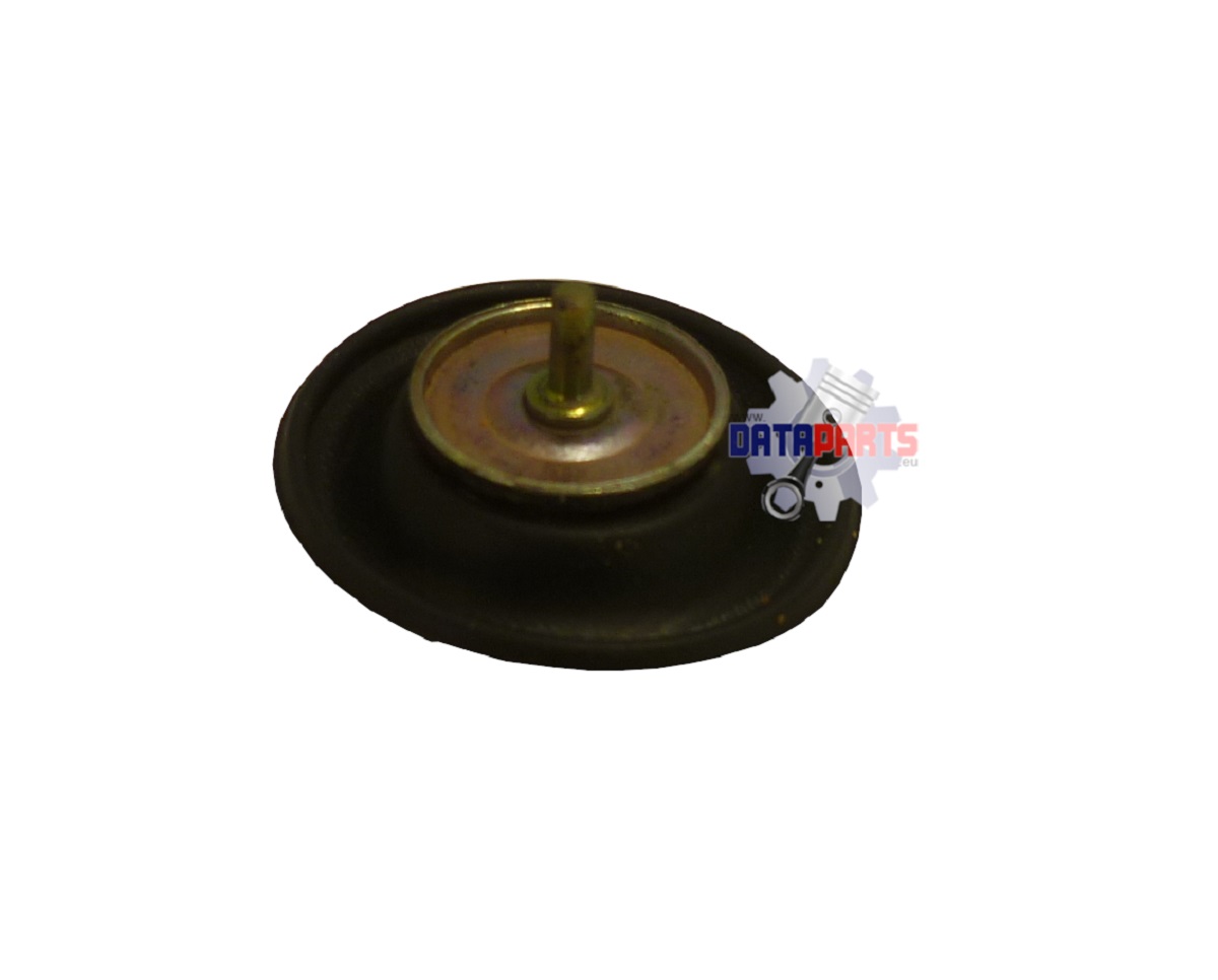 AEO-16048119-000 Membrane Beschleunigerpumpe