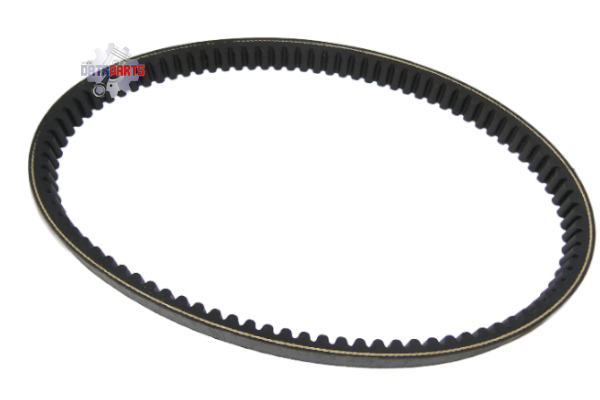 Driven Belt