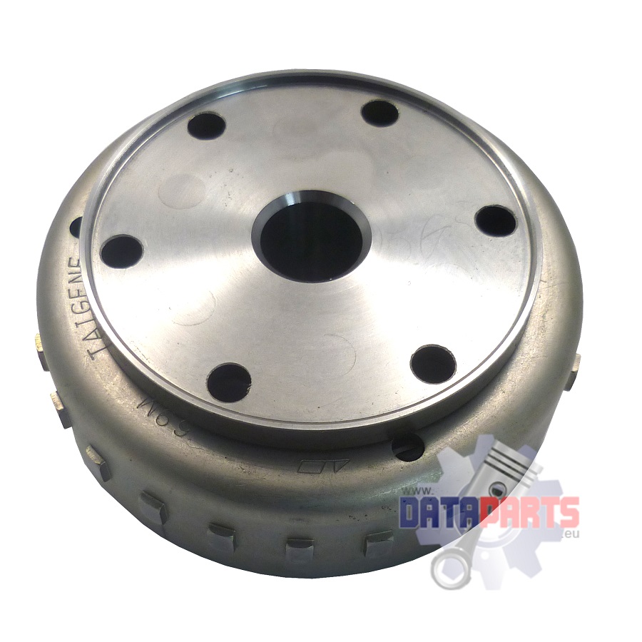 AEO-3111069M-000 Polrad EFI