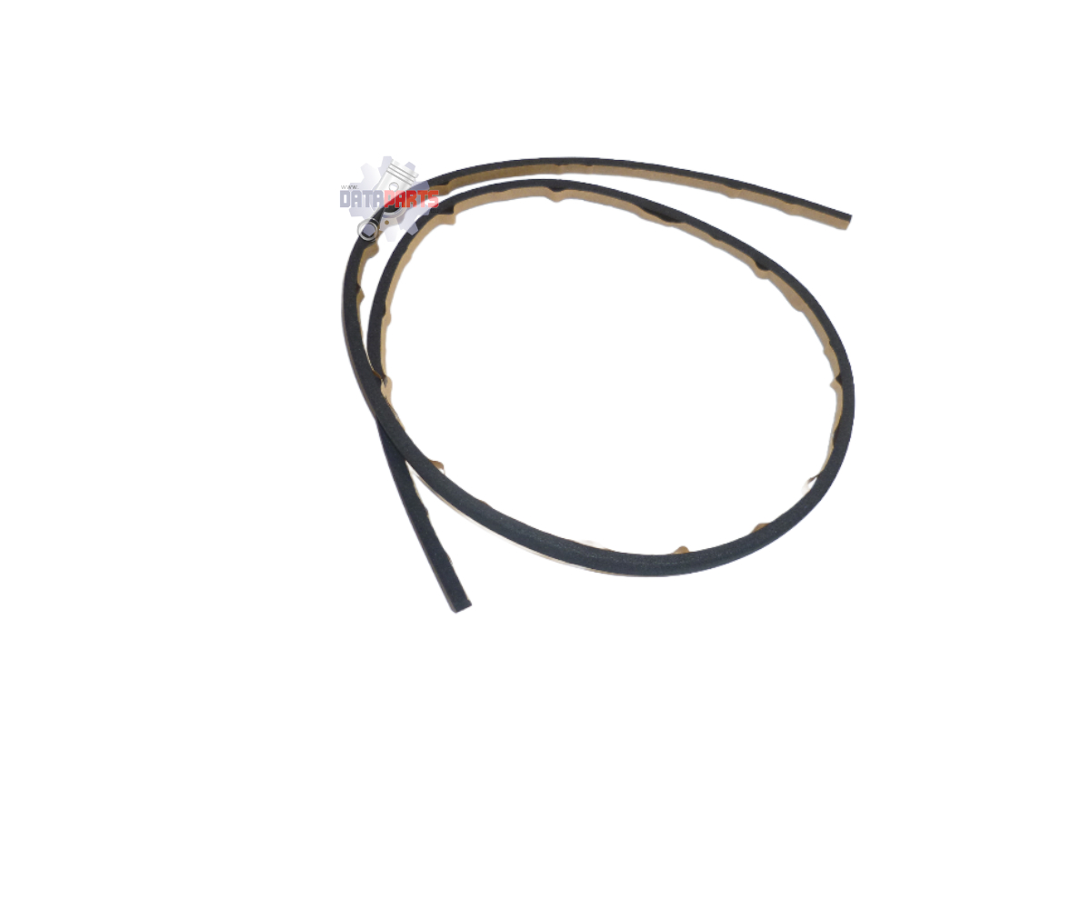 AEO-50812201-000 Dichtung
