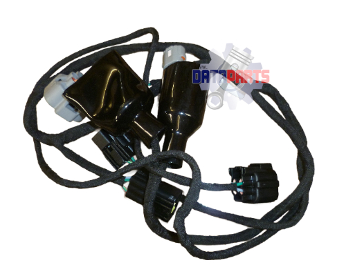 TAILLIGHT TRANSITION LINE