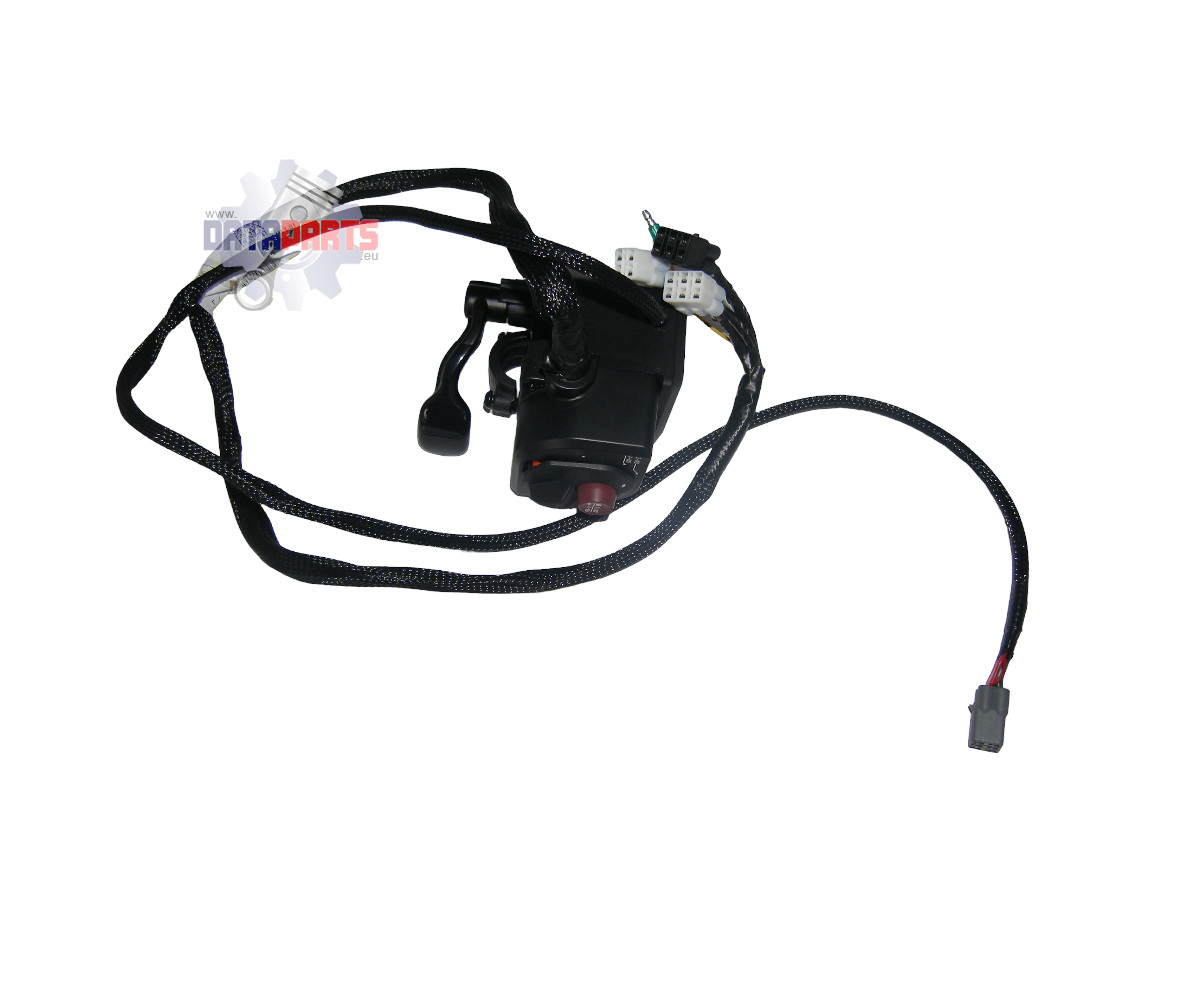 RIGHT HANDLE SWITCH (ZN)
