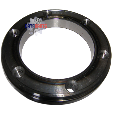 Ring Freilauf