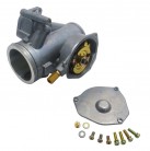 Throttle Body w/TPS