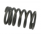Valve Outer Spring