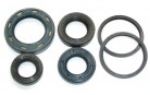 SEAL RING SET ENGINE KYMCO ZX