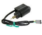 CHOKE VALVE (PIAGGIO)