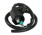 IGNITION COIL ASSY