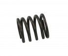 SPRING, OIL FILTER