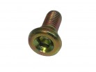 BOLT,DISK 8x20