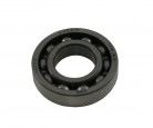 BRG. BALL RADIAL 16003