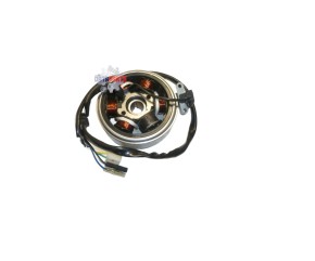Lichtmaschine komplett