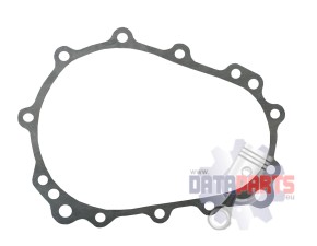 Gasket, Rear Axle Gear Case