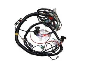 Main Wire Assy