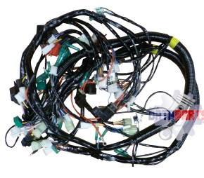 Main Wire Assy