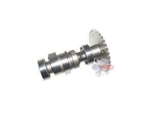 Cam Shaft