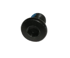 Brake Disc Bolt