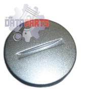 Plug, Adjusting Screw