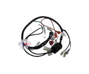 MAIN WIRE