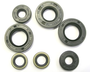 OIL SEAL KIT DERBI GPR 50