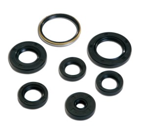 Kurbelwellen Simmerring Satz TNT Viton - AM6 Motor - Aprilia RS 50