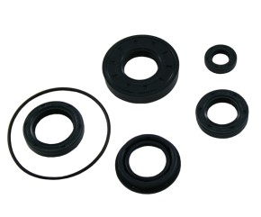 OIL SEAL SET ENGINE LC/AIR