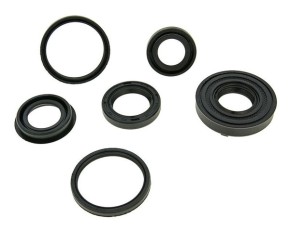 SEAL RING SET ENGINE MINARELLI AC