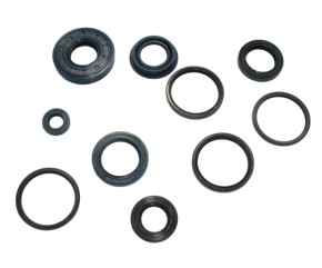 SEAL RING SET ENGINE MINARELLI VERTIKAL