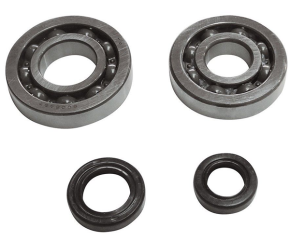 Bearing and Oil seals kit Kymco/Sym 2-T 50cc.