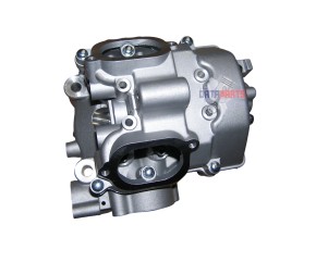 CYLINDER HEAD AND CYLINDER  HEAD COVER ASSEMBLY